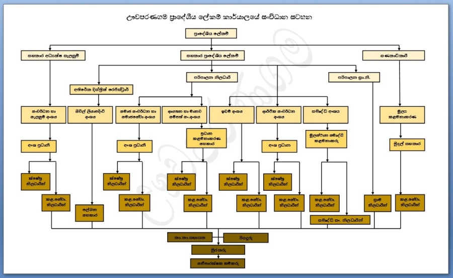 org new sinhala1